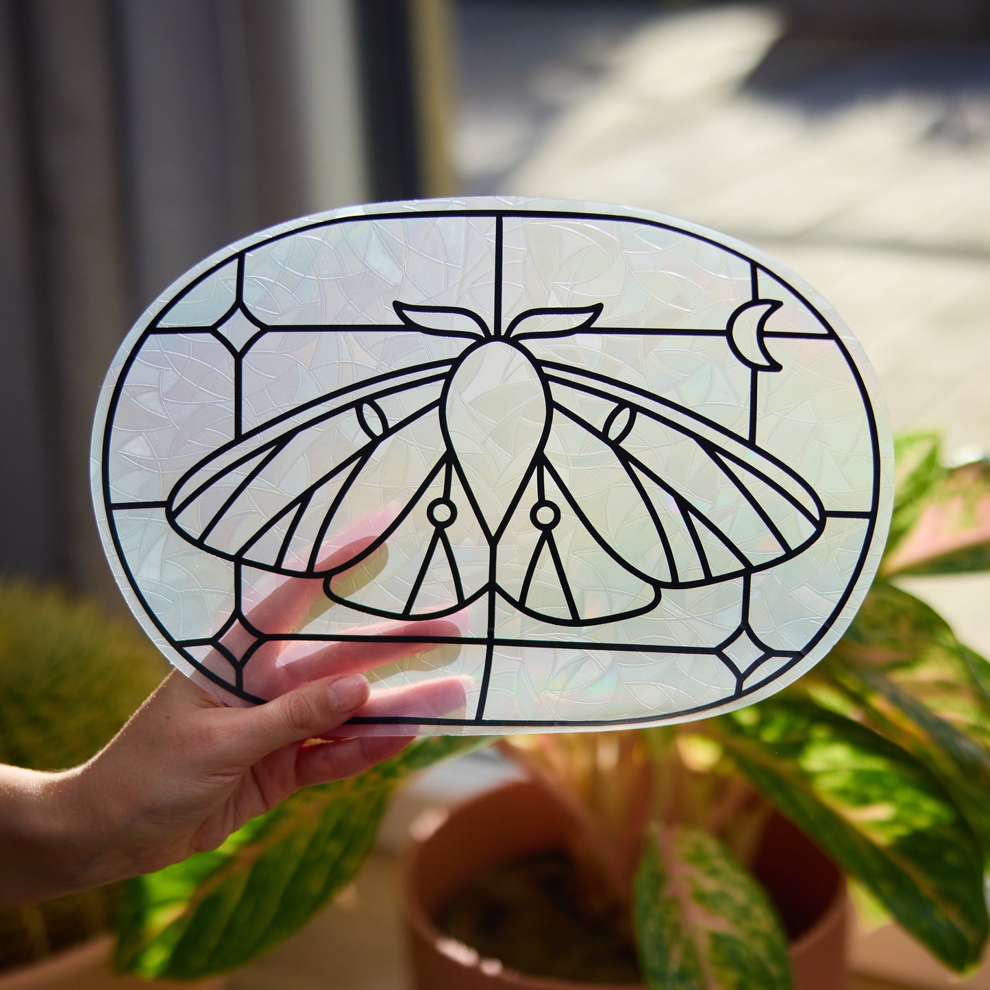 Suncatcher for Window - Moth