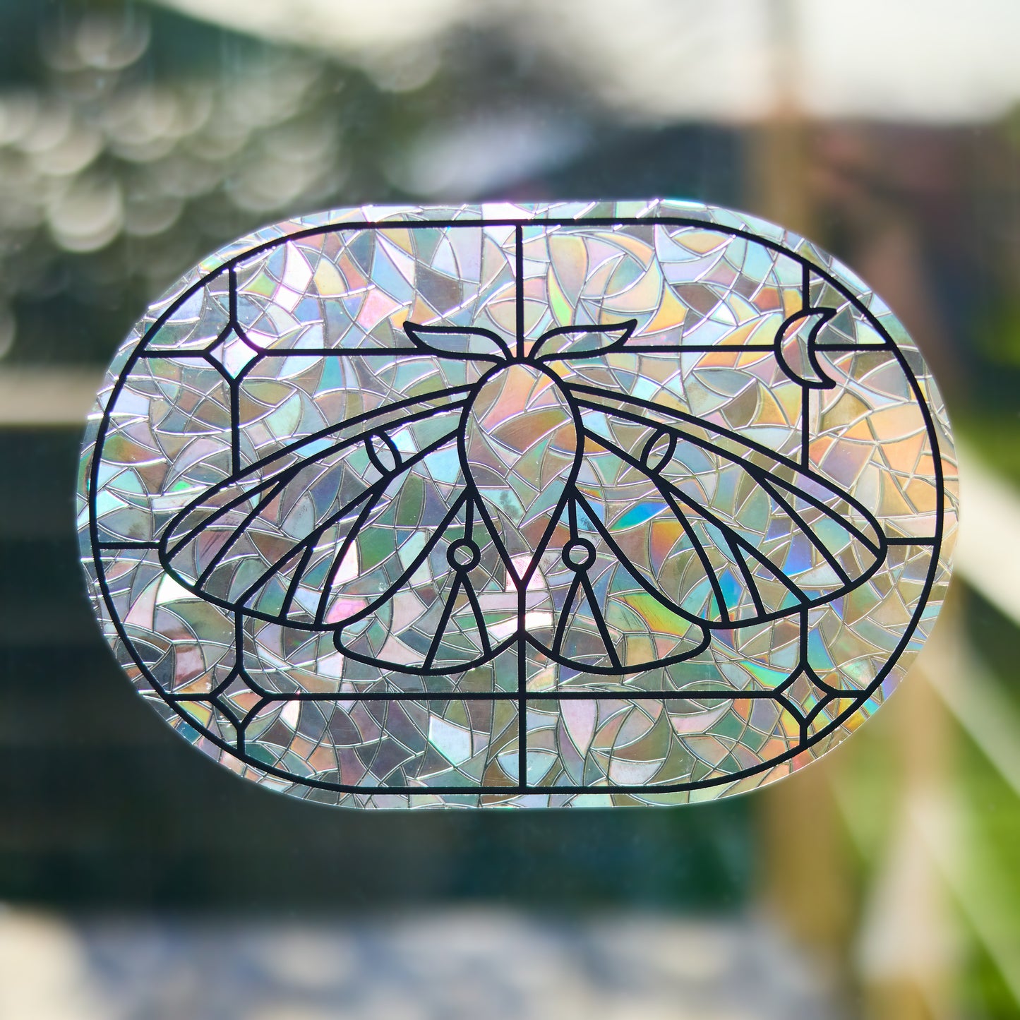 Suncatcher for Window - Moth